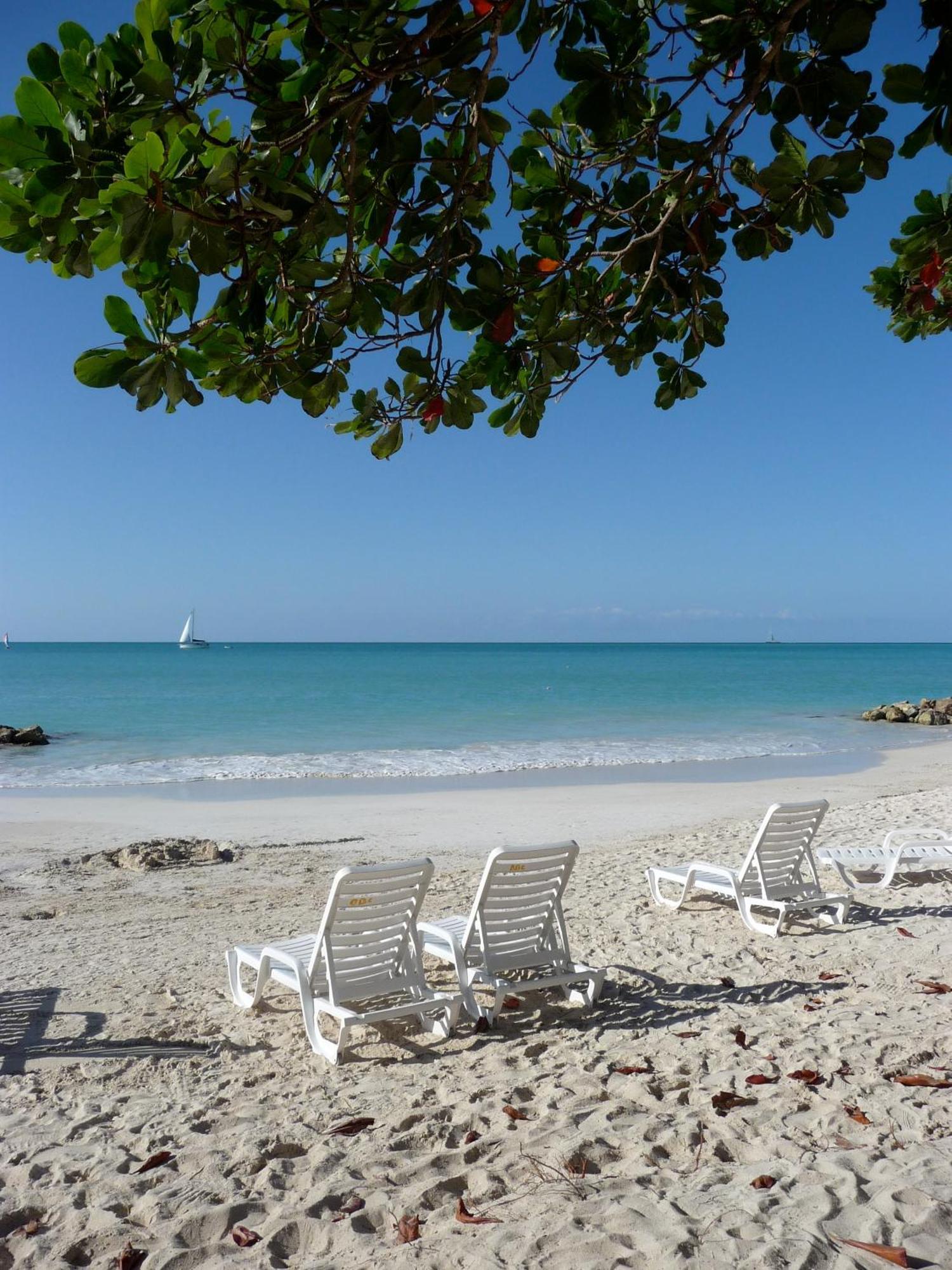 Buccaneer Beach Club Dickenson Bay Exterior foto